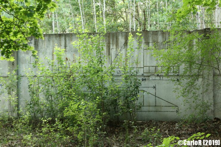 Foliage and other greenery partially-covering a concrete wall