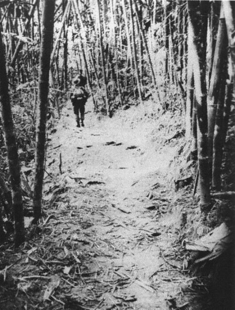 Viet Cong guerrilla walking along the Ho Chi Minh Trail