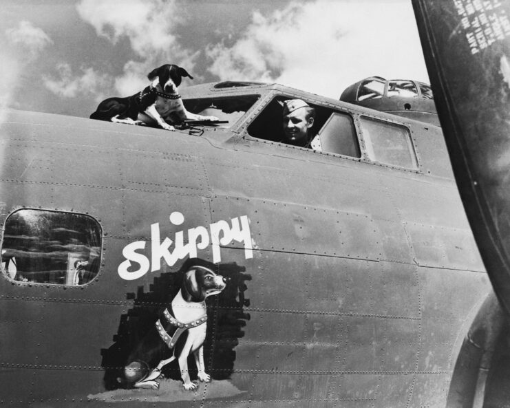 Skippy the dog sitting on top of a jet with an image of him as the nose art. 