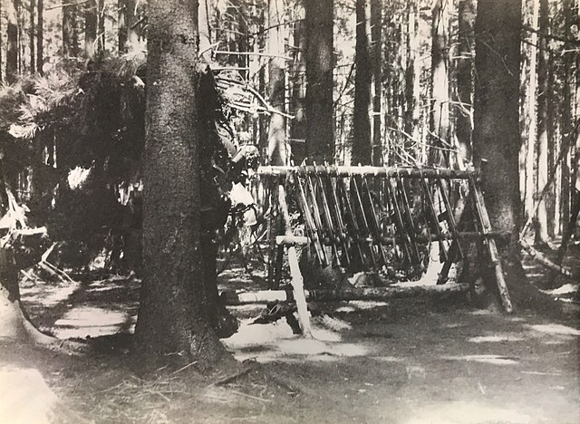 Heckler & Koch G3 rifles against a makeshift stand in the middle of a wooded area