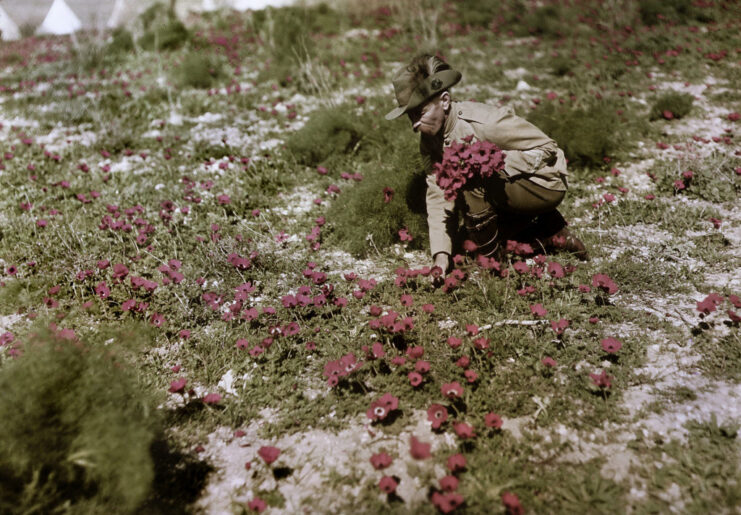 George "Pop" Redding picking flowers