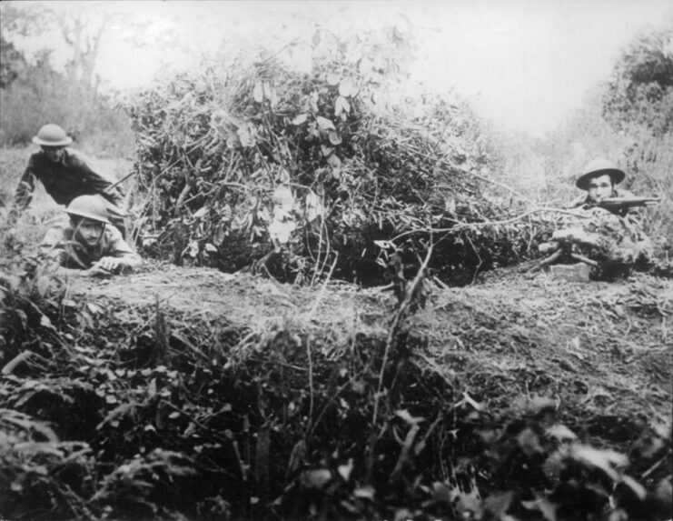 American and Filipino soldiers standing around a barrier made from branches and tree foliage