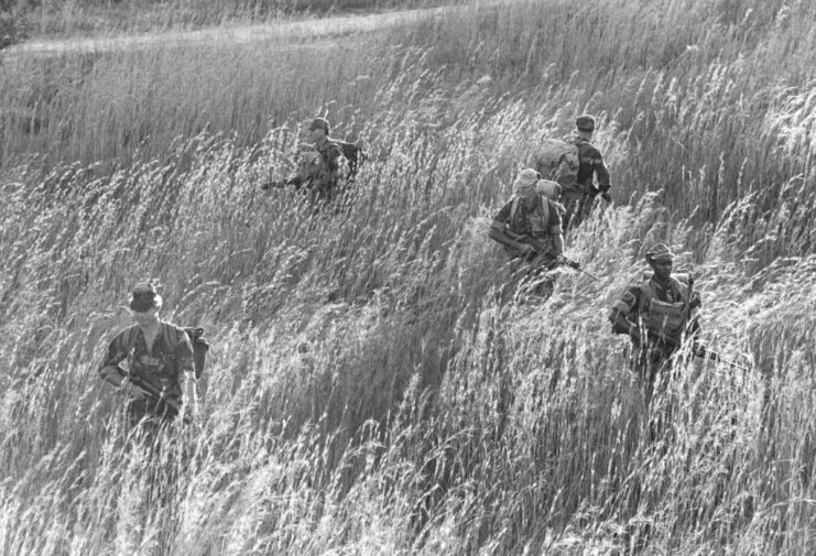 Members of the British South Africa Police (BSAP) walking through tall grass