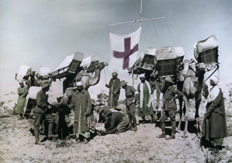 Troops standing with four camels carrying medical supplies