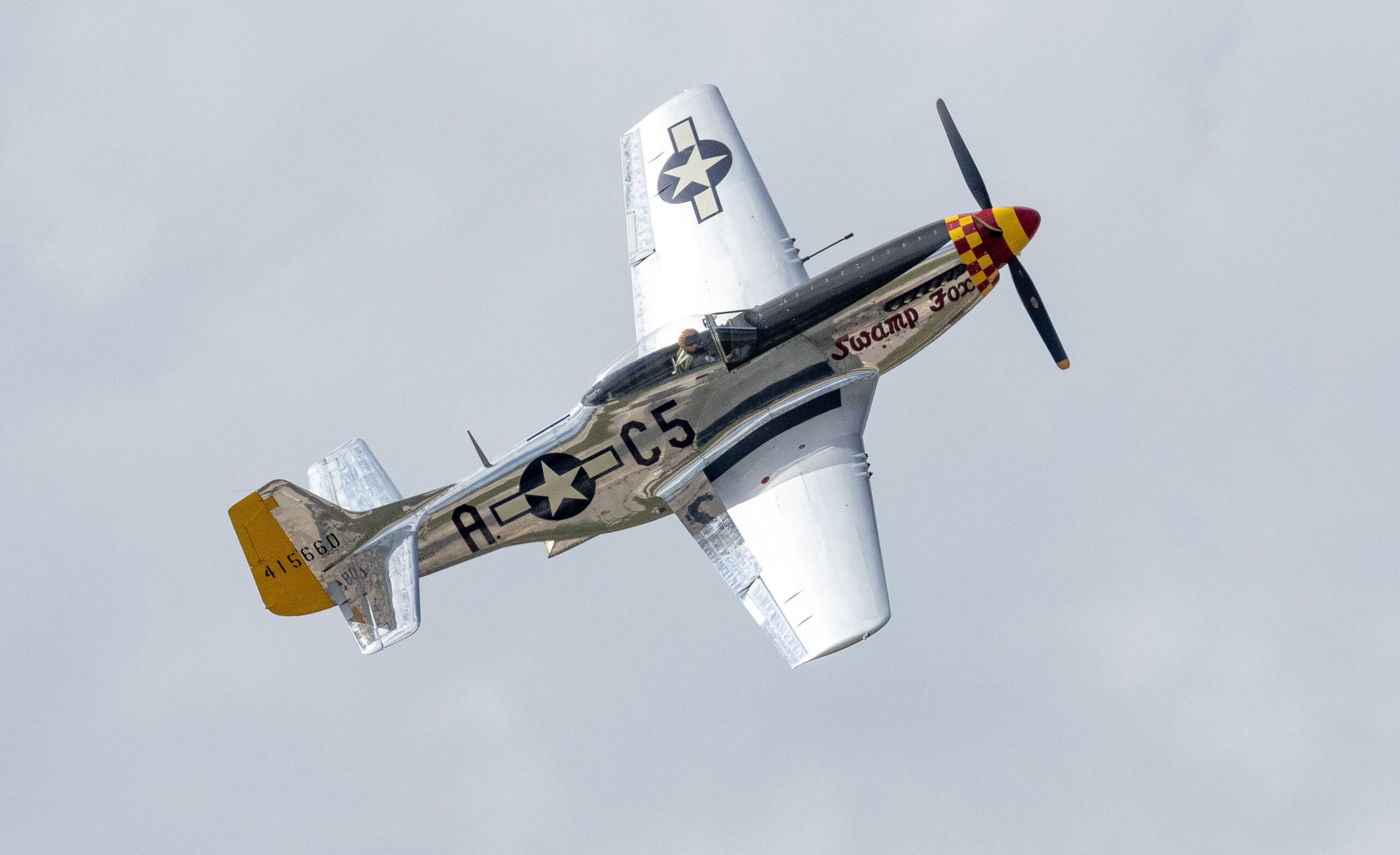 The P-51D Mustang "Swamp Fox" flying in an airshow. 