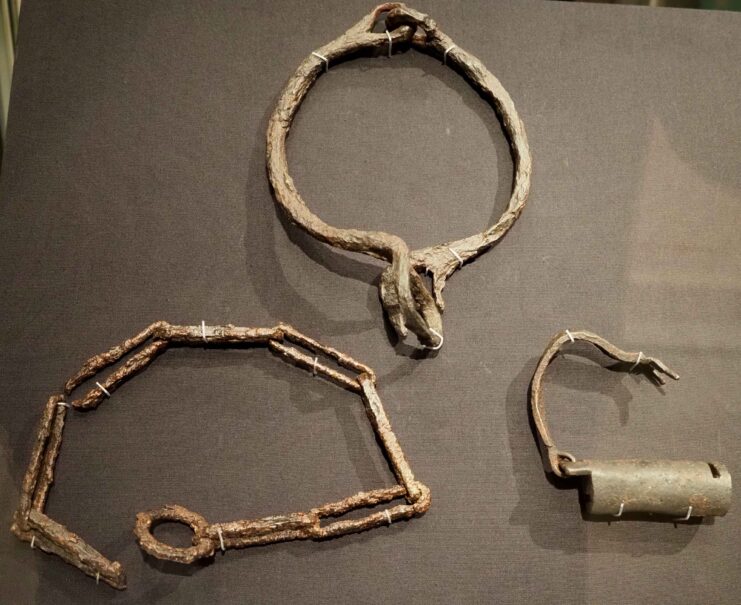 Three Roman-era restraints on display